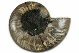 Cut & Polished Ammonite Fossil (Half) - Madagascar #318060-1